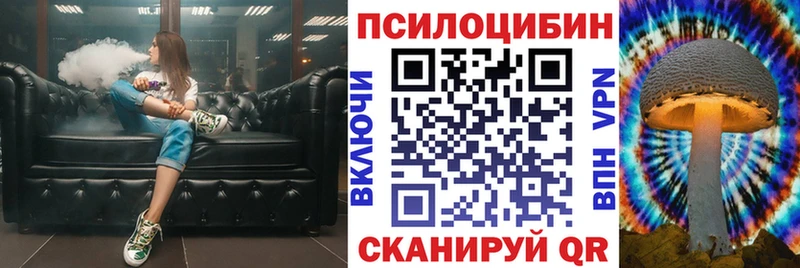 Галлюциногенные грибы Psilocybe  Котлас 
